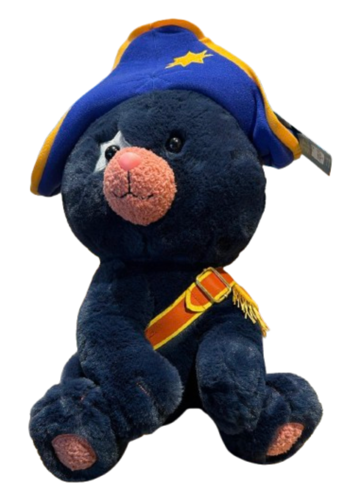 Universal Studios Epic Universe Exclusive Captain Cacao Plush Bear