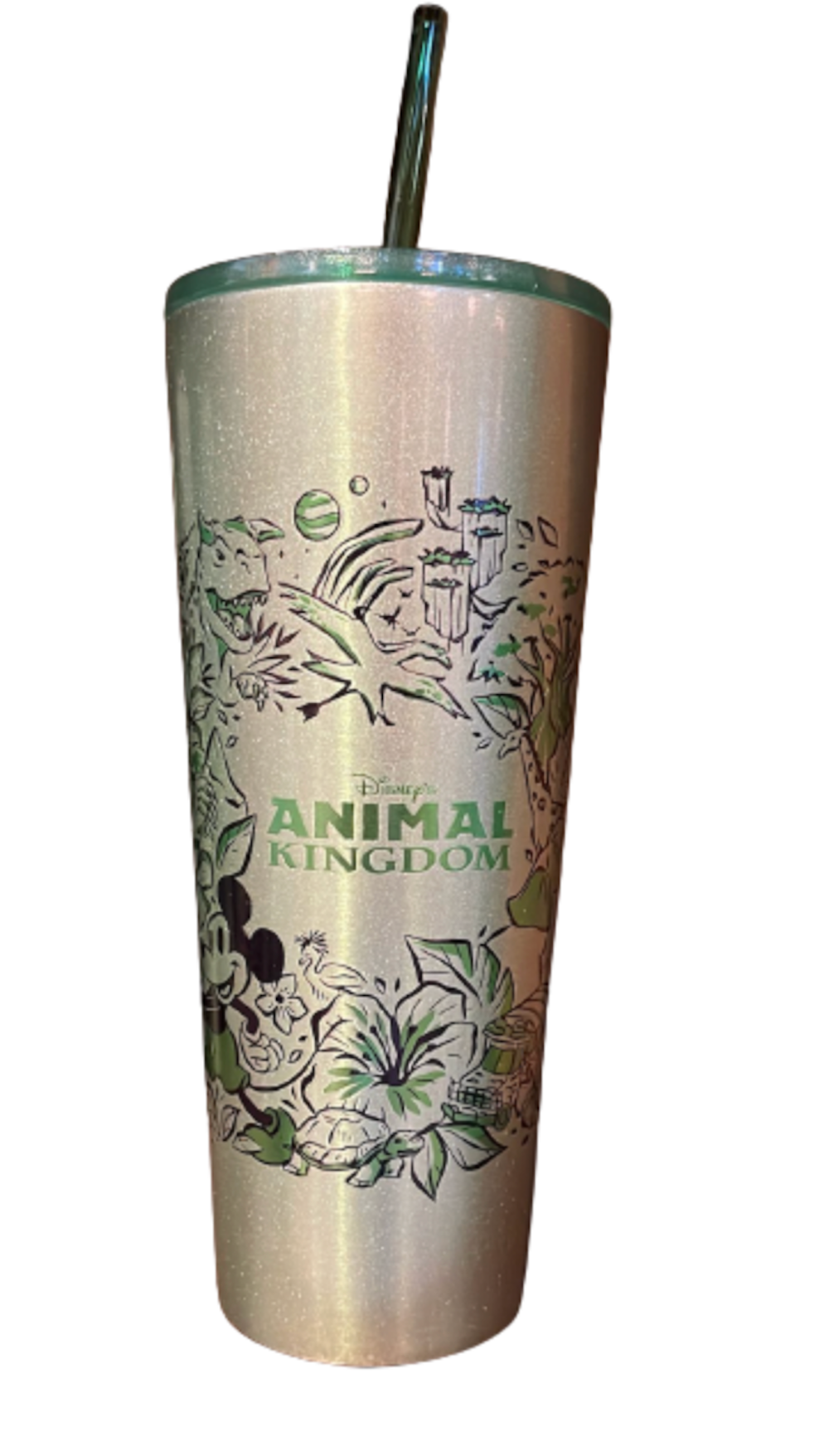 Disney Starbucks Animal Kingdom Icons Metal Tumbler Cup with Straw