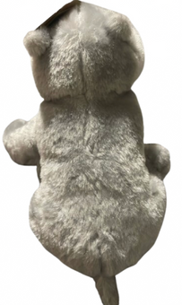 Disney Parks Animal Kingdom Petting Zoo Wild Ones Hippo Plush Toy New with Tag