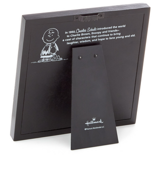 Hallmark Peanuts Linus and Sally Love Comes Too Framed Art Quote Sign New