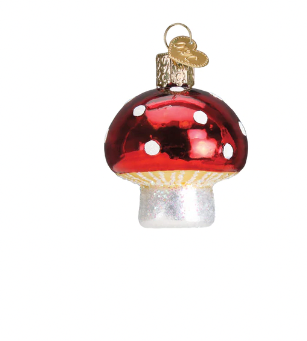 Old World Christmas Lucky Mushroom Glass Christmas Ornament New with T ...