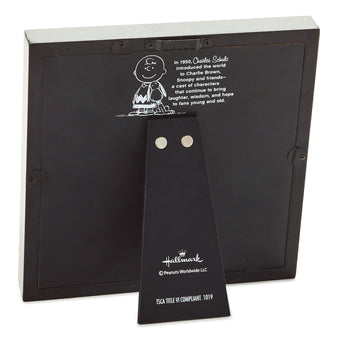 Hallmark Peanuts Snoopy and Woodstock Dream Together Framed Wall Art New