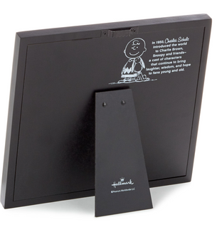 Hallmark Peanuts Lucy and Snoopy Kindness Cartoon Framed Art Quoted Sign New