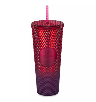 Disney Disneyland Starbucks Sleeping Beauty Castle Geometric Red Tumbler Straw