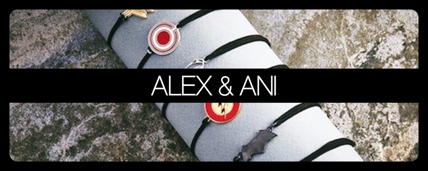 DC Comics Collection - Alex & Ani
