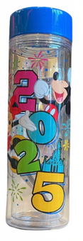 Disney Parks WDW 2025 Mickey Mouse & Friends Water Bottle New with Tag