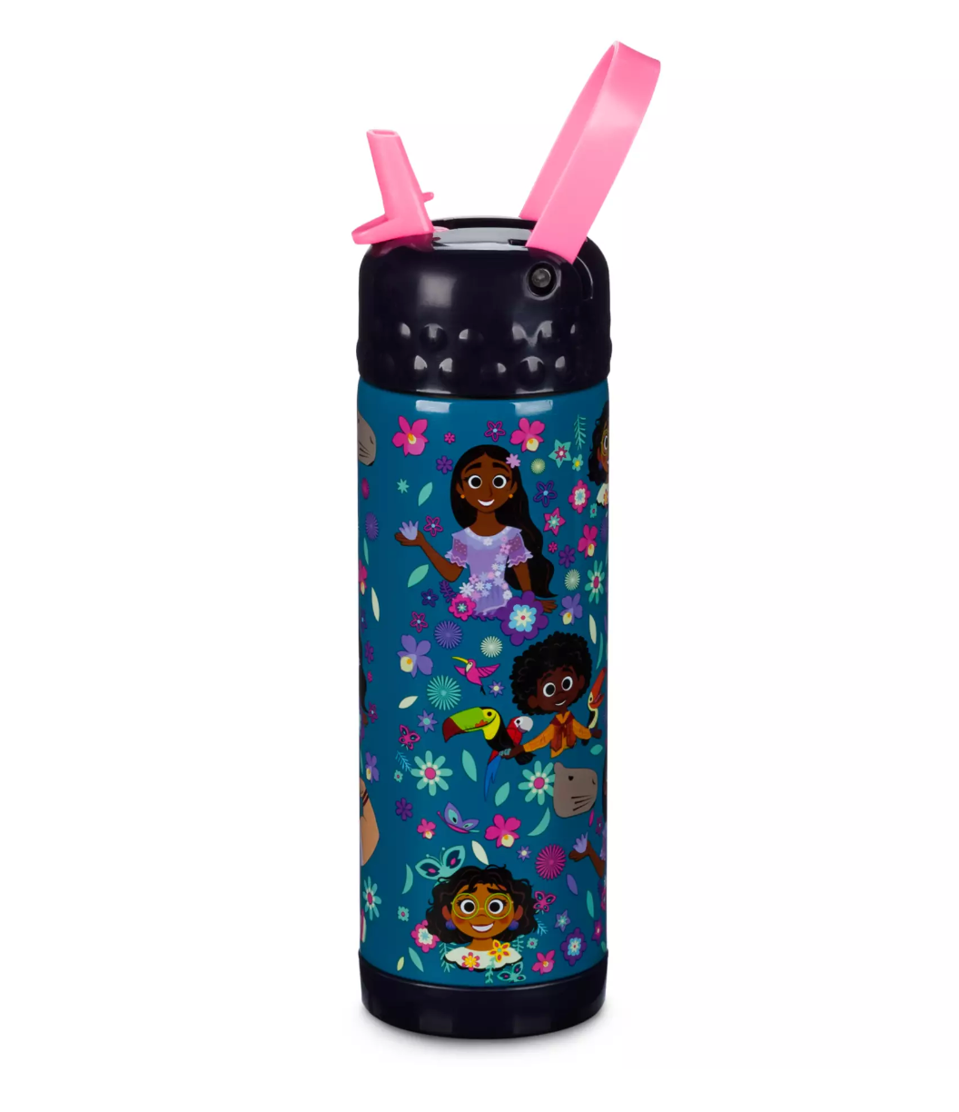 Disney Encanto Stainless Steel Water Bottle with Built-In Straw New