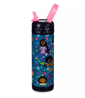 Disney Encanto Stainless Steel Water Bottle with Built-In Straw New