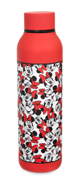Disney Parks Minnie Mouse Stainless Steel Water Bottle w Caribiner New With Tag