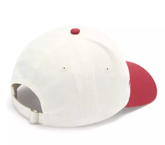 Disney Parks Winnie the Pooh and Pals Baseball Cap Hat for Adult New With Tag