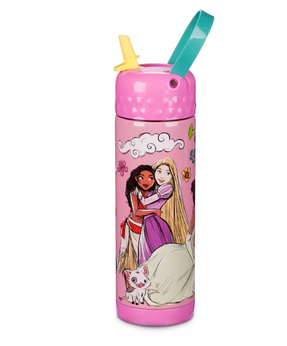 Disney Princess Stainless Steel Water Bottle with Built-In Straw New