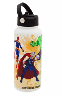 Disney Parks Avengers Marvel Artist Stainless Water Bottle Sara Pichelli New
