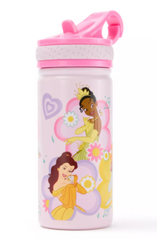 Disney Parks Princess 14oz. Stainless Steel Water Bottle New With Tag