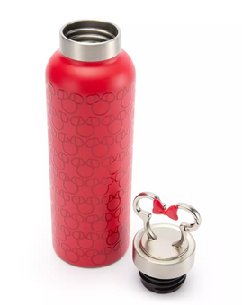 Disney Parks Minnie Mouse Icon Stainless Steel Water Bottle New