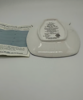 Disney Bradford Exchange Winnie The Whole Year Through January Plate New COA