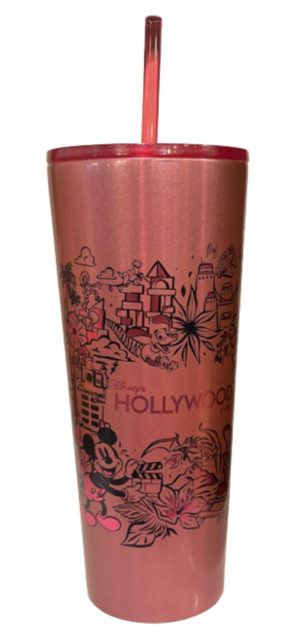 Disney Starbucks Hollywood Studios Icons Metal Tumbler Cup with Straw New