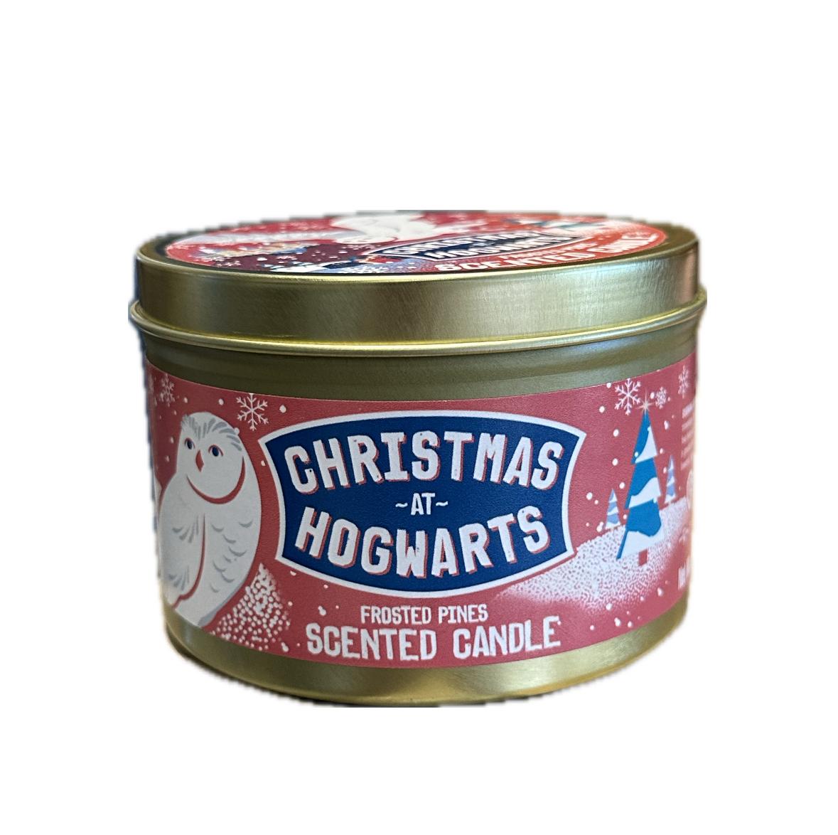 Universal Studios Harry Potter Christmas at Hogwarts Frosted Pine Scented Candle