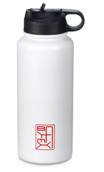 Disney Parks Baymax Stainless Steel Water Bottle Large Big Hero 6 New With Tag