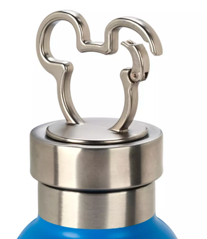 Disney Parks Mickey Mouse Stainless Steel Water Bottle – WDW New With Tags