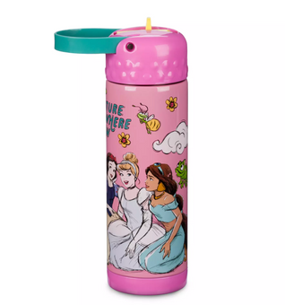 Disney Princess Stainless Steel Water Bottle with Built-In Straw New