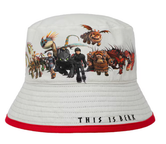 Universal Studios How Train Your Dragon This is Berk Reversible Bucket Hat New