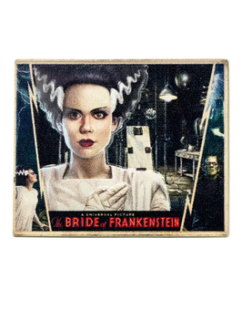 Universal Studios Monsters Bride of Frankenstein Poster Pin New With Card