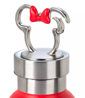 Disney Parks Minnie Mouse Stainless Steel Water Bottle – WDW New With Tags