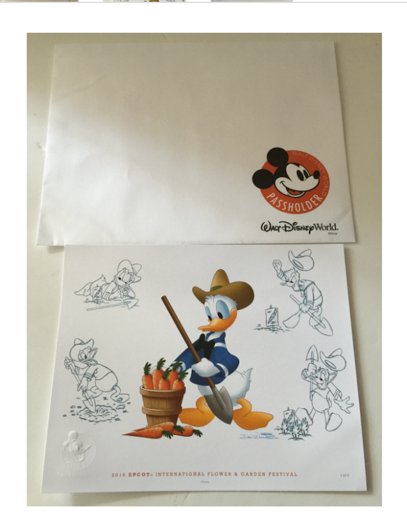 disney flower & garden 2016 donald gardener art print annual passholder new
