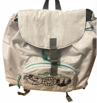 Disney Parks Walt Disney World Where Dreams Come True Mini Backpack New with Tag