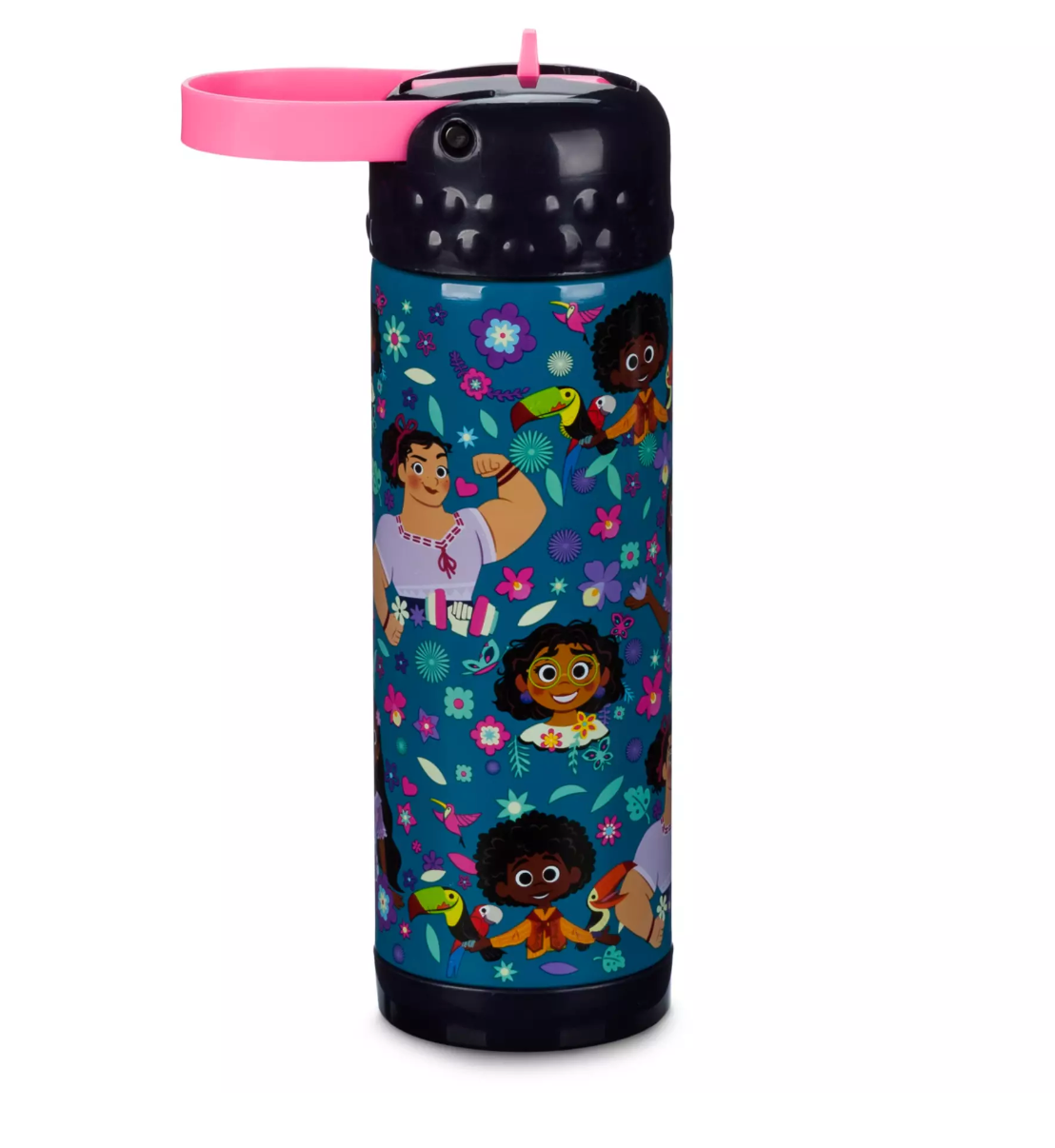 Encanto  Antonio & Mirabel - Familia Stainless Steel Water Bottle