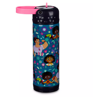 Disney Encanto Stainless Steel Water Bottle with Built-In Straw New