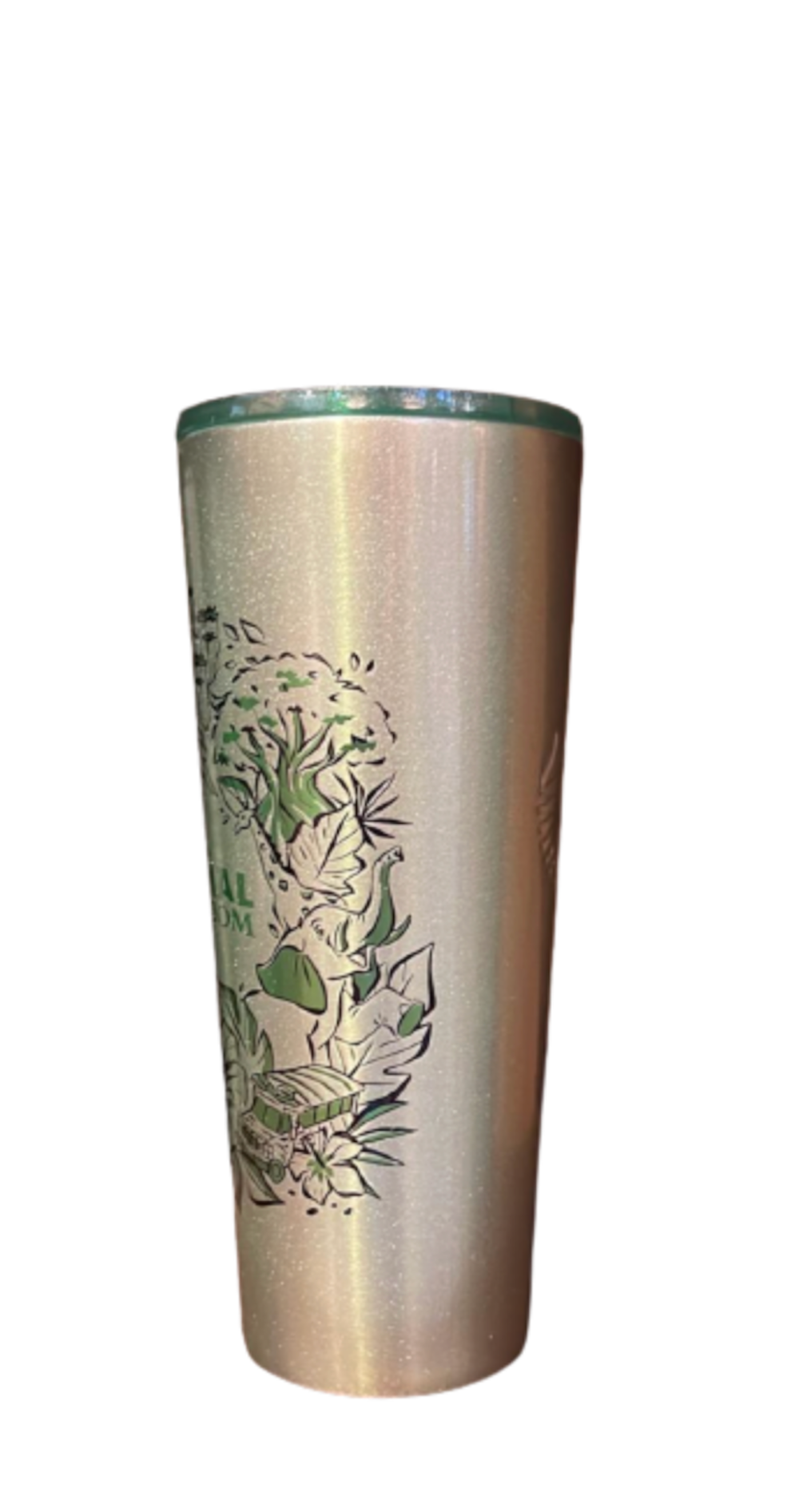 Disney Tumbler and Straw Animal Kingdom Stainless Starbucks