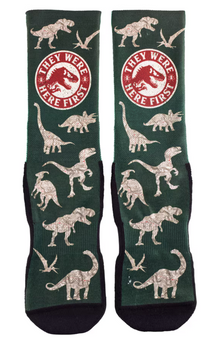 Universal Studios Jurassic World "They Were Here First" Adult Socks New With Tag