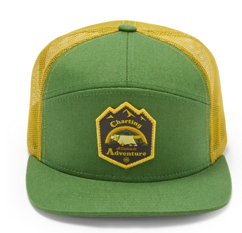 Disney Parks Up Adventure Baseball Cap for Adults Hat New With Tag