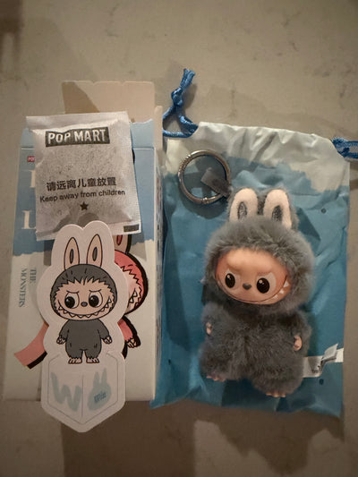 Pop Mart Labubu The Monsters Pin for Love Letter W Plush Keychain USA New