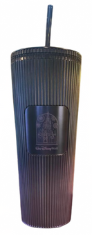 Disney Walt Disney World Magic Kingdom Castle Starbucks Tumbler 2025 New W Tag