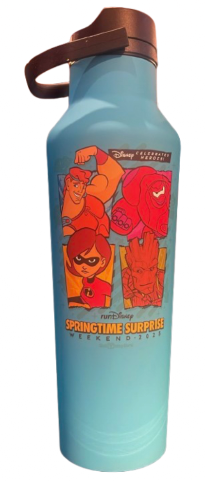 Disney Parks WDW Run Springtime Supreme Water Bottle New With Tag