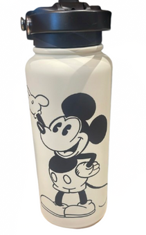 Disney Parks Mickey Classic Stainless Steel Water Bottle Large with Straw New