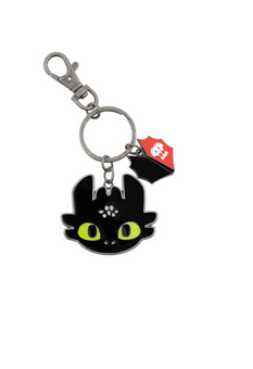 Universal Studios How To Train Your Dragon Toothless Isle of Berk Face Keychain