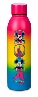Disney Parks Walt Disney World 2024 Stainless Steel Water Bottle New With Tags