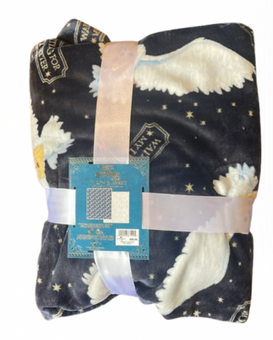 Universal Studios Harry Potter Waiting for My Letter Hedwig Blanket New W Tag