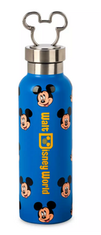 Disney Parks Mickey Mouse Stainless Steel Water Bottle – WDW New With Tags