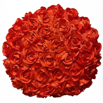 Disney Parks Princess Belle Throw Pillow New With Tag