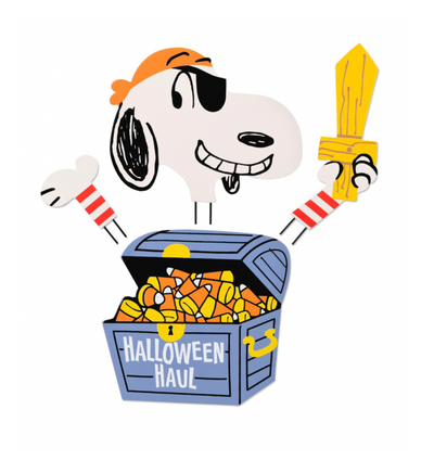 Hallmark Halloween Peanuts Pirate Snoopy Pumpkin Decorating Kit 4 Pieces New