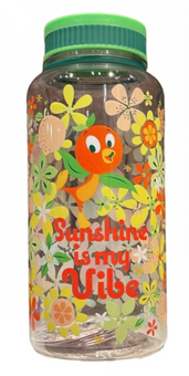 Disney Parks WDW Orange Bird Sunshine is my Vibe Water Bottle New with Tag