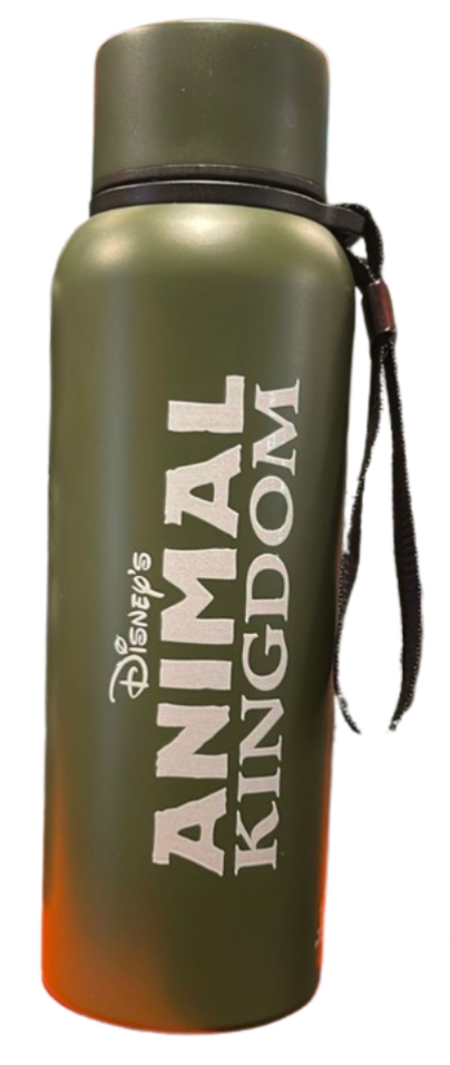 Disney Parks Animal Kingdom Cycle of Life Stainless Steel Water Bottle New W Tag