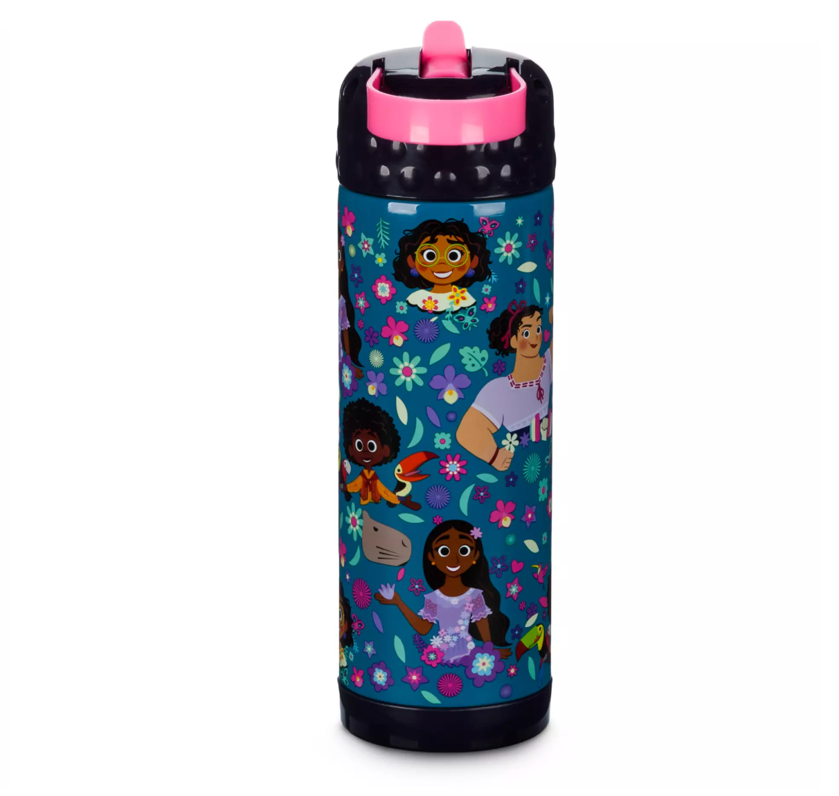 Disney Encanto Stainless Steel Water Bottle with Built-In Straw New