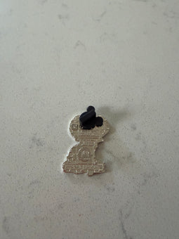 Disney Parks 2026 Cat Winifred Hocus Cats and Dogs Halloween Costume Mystery Pin