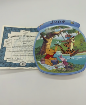 Disney Bradford Exchange Winnie The Whole Year Through June Plate New COA