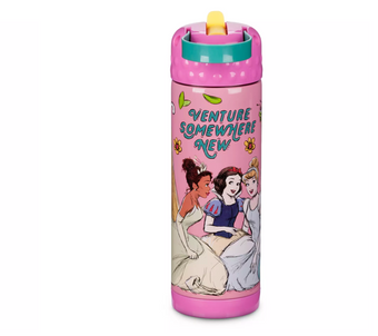 Disney Princess Stainless Steel Water Bottle with Built-In Straw New